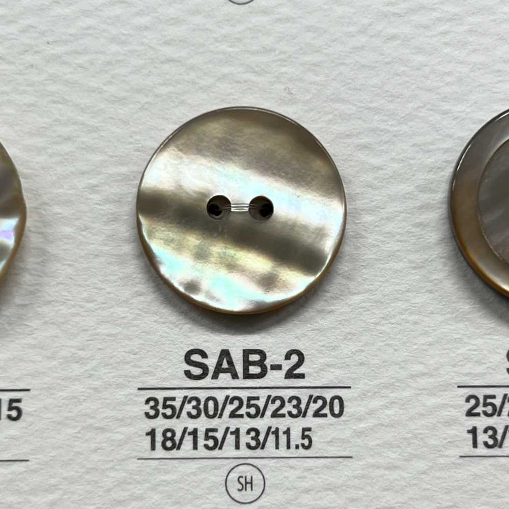 SAB2 Botão Brilhante De 2 Furos De Material Natural Shell IRIS