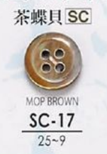 SC17 Botão Shell - Concha Madrepérola - IRIS