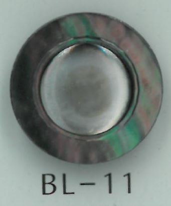 BL-11 Botão Shell Com Pernas Sakamoto Saji Shoten