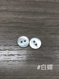 PH112 Botão De Concha De Olho De Gato Sakamoto Saji Shoten subfoto