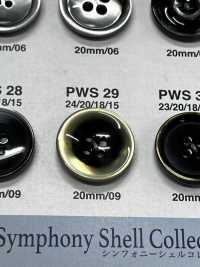 PWS29 Botão Shell IRIS subfoto