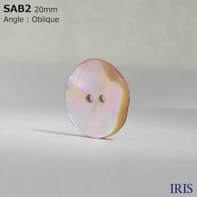 SAB2 Botão Brilhante De 2 Furos De Material Natural Shell IRIS subfoto