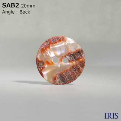 SAB2 Botão Brilhante De 2 Furos De Material Natural Shell IRIS subfoto