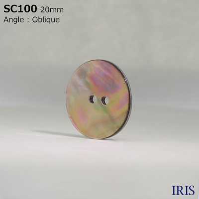 SC100 Botão Brilhante De 2 Furos De Material Natural Shell IRIS subfoto