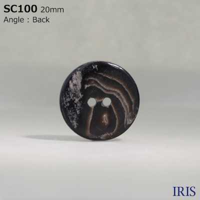 SC100 Botão Brilhante De 2 Furos De Material Natural Shell IRIS subfoto
