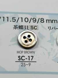 SC17 Botão Shell - Concha Madrepérola - IRIS subfoto