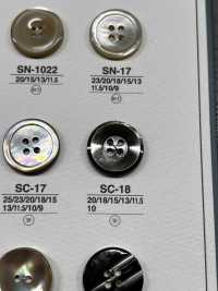 SC18 Botão Brilhante De 4 Furos Feito De Concha De Material Natural IRIS subfoto