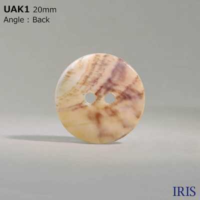 UAK1 Orifício Frontal Tingido Com Casca De Material Natural 2 Orifícios Botão Brilhante IRIS subfoto