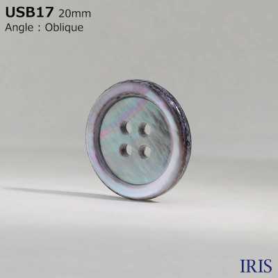 USB17 Material Natural Tingimento Madrepérola Shell 4 Furos Frontais Botão Brilhante IRIS subfoto