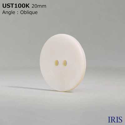 UST100K Tingimento De Material Natural Furo Frontal 2 Concha Shell Shell Botão Fosco IRIS subfoto