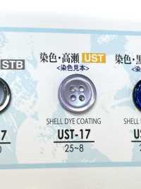 UST-17 Botão De Concha De 4 Furos De Concha De Material Natural IRIS subfoto
