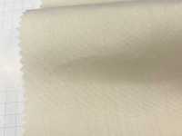 10906 CLEANSE(R) EX TC Broadcloth -Antiviral-[Têxtil / Tecido] VANCET subfoto