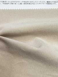 13167 21 Wel Corduroy Stretch[Têxtil / Tecido] SUNWELL subfoto