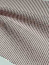KKF8585-55 Seersucker Esticar Largura Larga[Têxtil / Tecido] Uni Textile subfoto