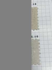 K1420 Fujikinbai Cotton 10/8 Oxford Generation Refining[Têxtil / Tecido] Fuji Gold Plum subfoto
