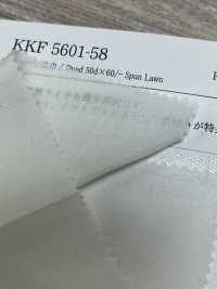 KKF5601-58 Largura Larga ×60/ Largura Larga Do Gramado Girado[Têxtil / Tecido] Uni Textile subfoto