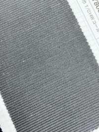 SBY80000 Largura T / C 14W Veludo Cotelê[Têxtil / Tecido] SHIBAYA subfoto