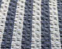 3-2538LONDON STRIPE SUBALPINO Shear Seersucker London Stripe[Têxtil / Tecido] Takisada Nagoya subfoto