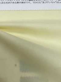22337 60 Single Thread Algodão / Tencel (TM) Lyocell Fibra Drape Lawn[Têxtil / Tecido] SUNWELL subfoto