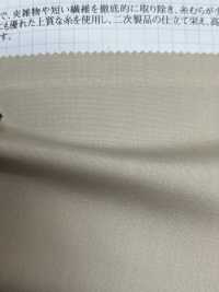 1550 CM50 / - Broadcloth[Têxtil / Tecido] VANCET subfoto