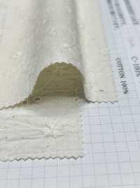 6816 Processamento De Lavadora De Mãos De Renda[Têxtil / Tecido] VANCET subfoto