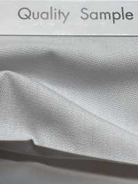 CM-550 T / C Broadcloth[Têxtil / Tecido] Masuda subfoto
