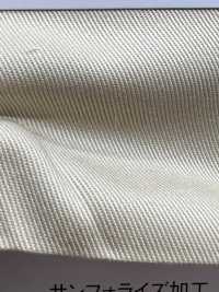 CM-880 Sarja T / C[Têxtil / Tecido] Masuda subfoto