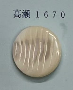 1670 Botão Shell Sem Bordas Tomoi