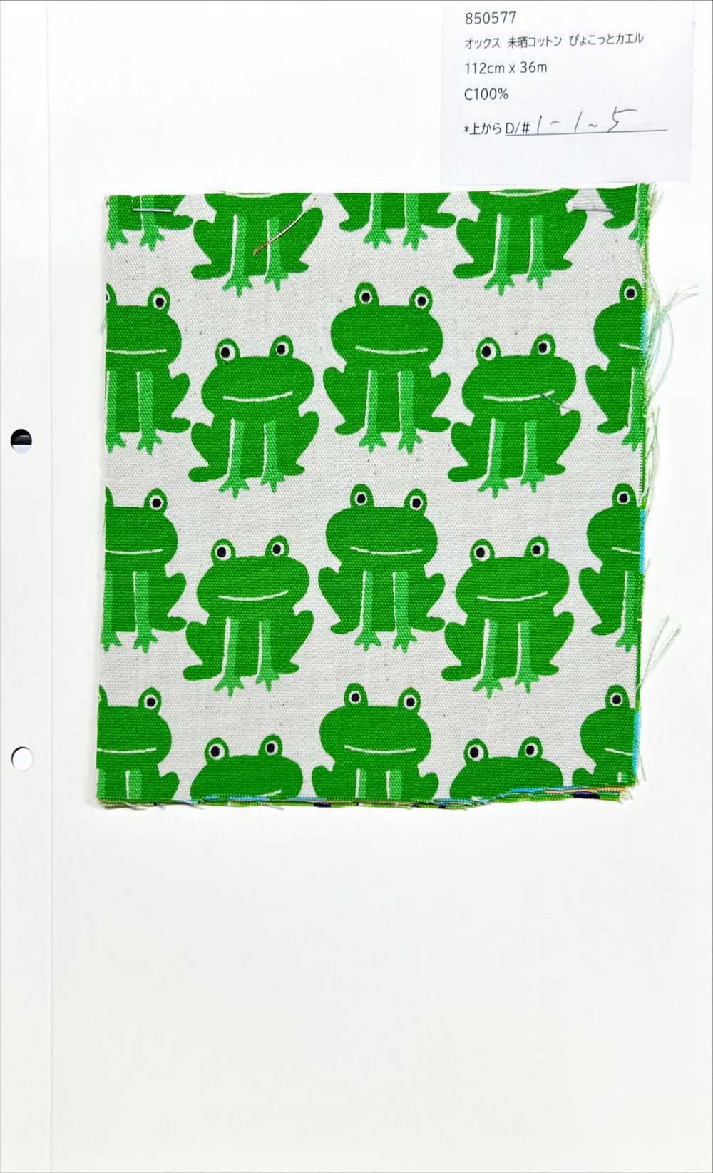 850577 Oxford Cotton Frog Não Branqueado[Têxtil / Tecido] VANCET