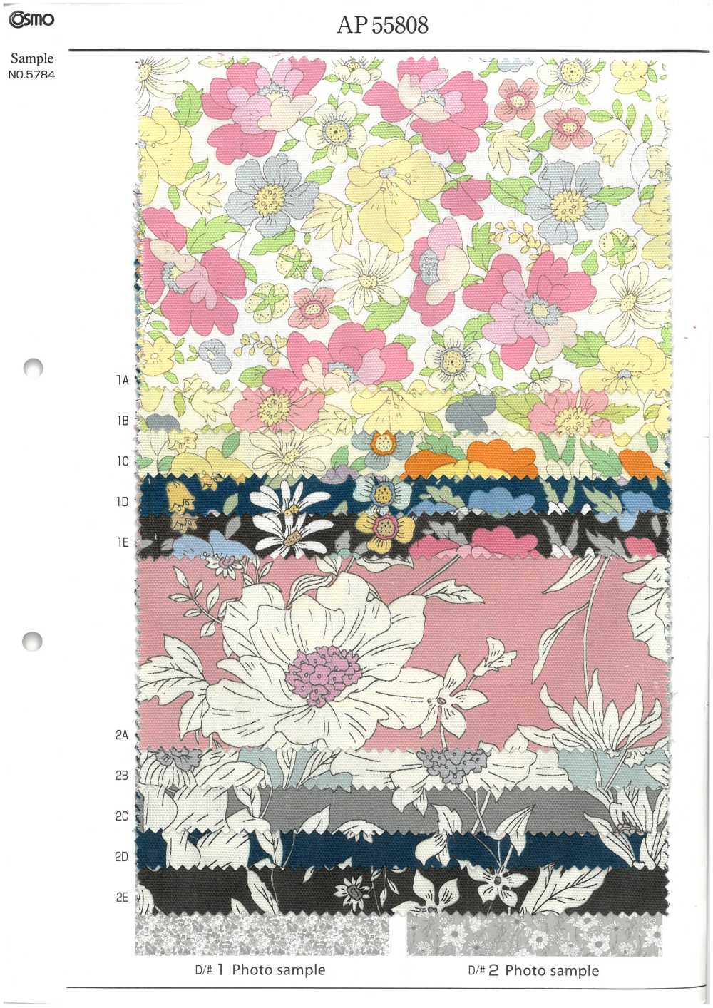 AP55808 Essential Grace 2 Oxford (Redondo)[Têxtil / Tecido] COSMO TEXTILE