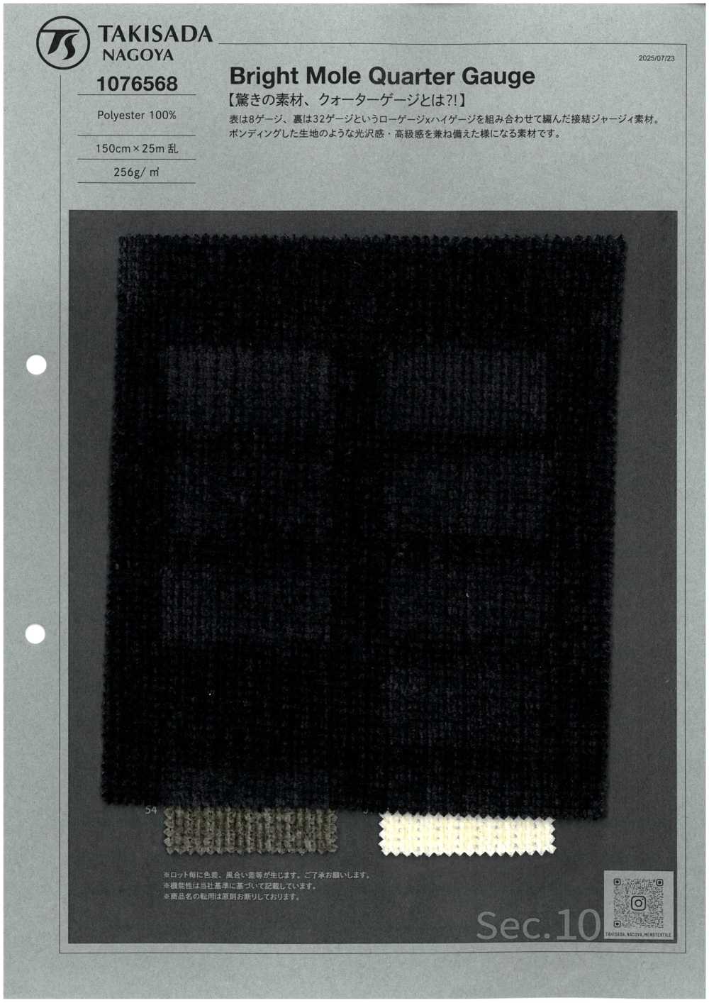 1076568 Medidor De Quarto De Toupeira Brilhante[Têxtil / Tecido] TAKISADA NAGOYA