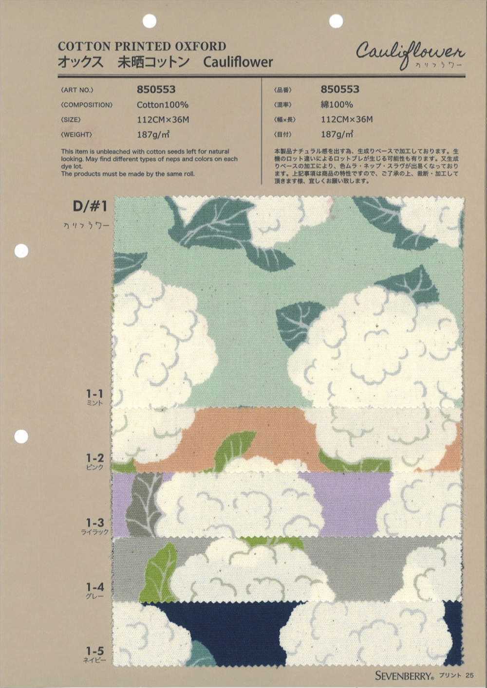 850553 Couve-flor De Algodão Oxford Não Branqueado[Têxtil / Tecido] VANCET
