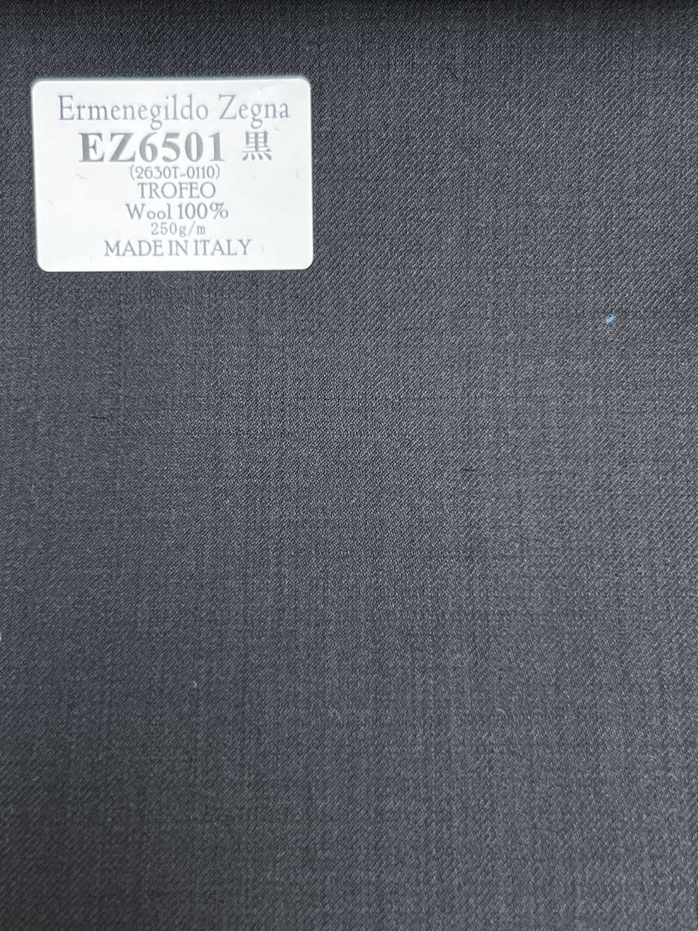 EZ6501 Ermenegildo Zegna TROFEO Preto Liso[Tecido] HOSOI SYOJI