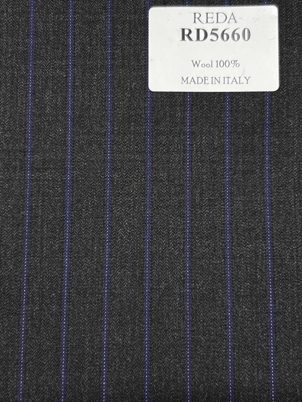 RD5660 REDA Cinza X Azul-marinho Listrado[Têxtil] HOSOI SYOJI