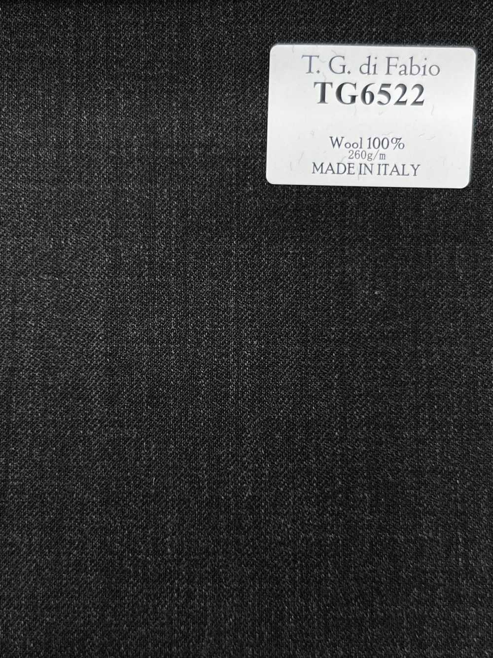 TG6522 T.G Di FABIO Cinza liso[Tecido] HOSOI SYOJI