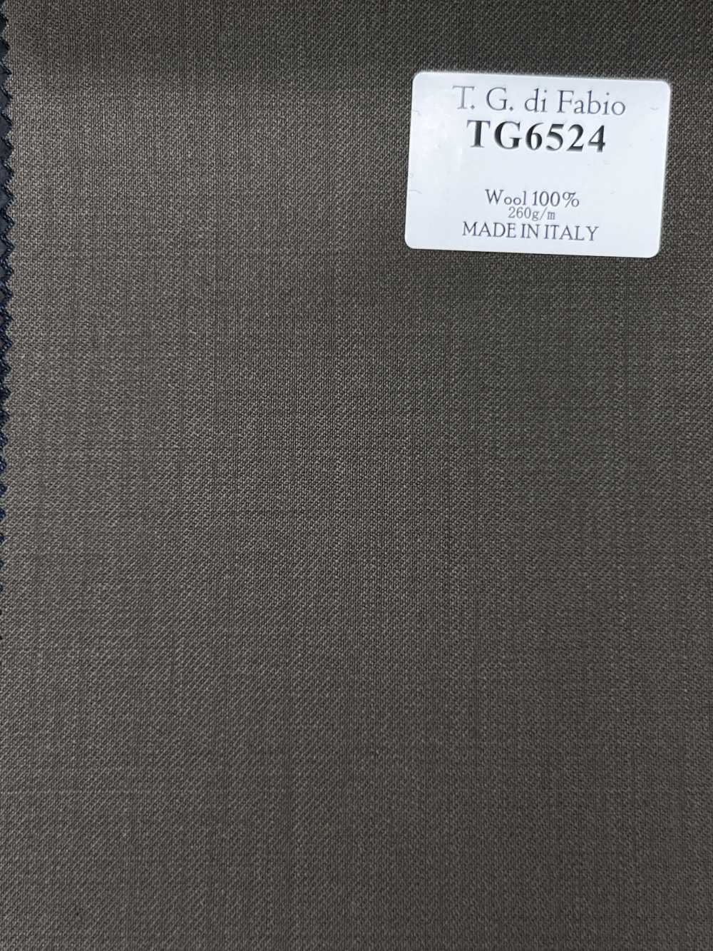 TG6524 T.G Di FABIO Caqui liso[Tecido] HOSOI SYOJI
