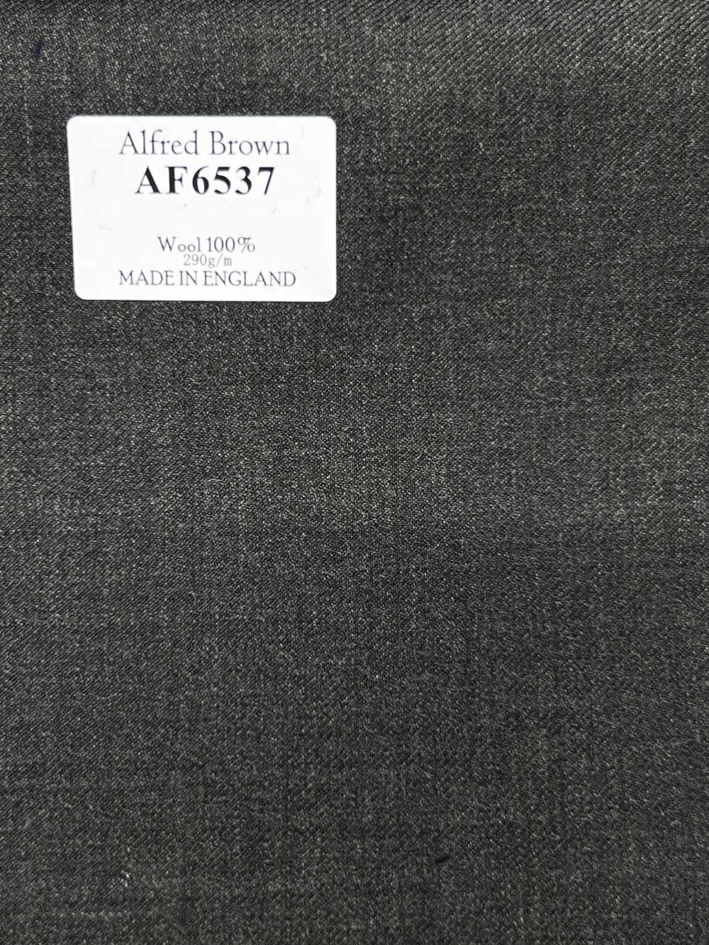 AF6537 Alfred Brown azul-marinho escuro liso[Têxtil] HOSOI SYOJI