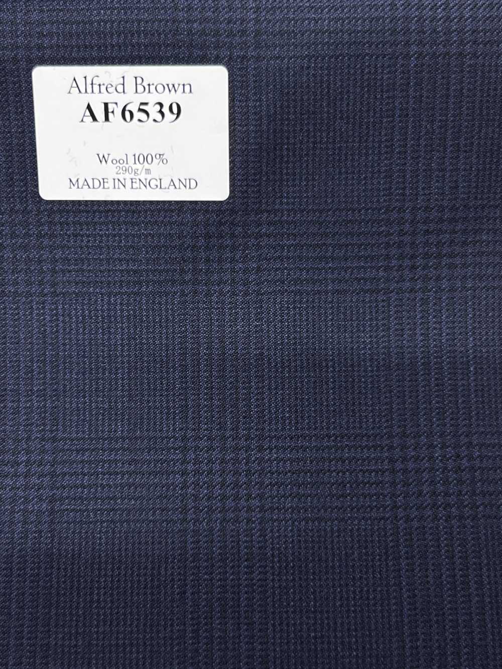 AF6539 Alfred Brown Xadrez Azul-Marinho[Têxtil] HOSOI SYOJI