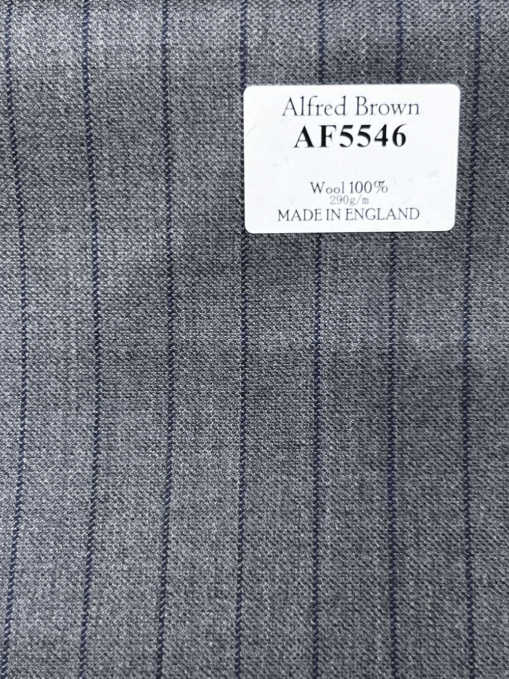 AF5546 Alfred Brown Cinza × Azul-marinho Listras[Têxtil] HOSOI SYOJI