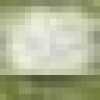 Verde Folha