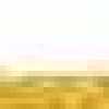 Amarelo Amarelo