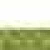 Verde Folha Verde Folha
