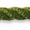 Verde Musgo