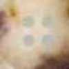 Bege Avermelhado × Manchas Pretas Bege Avermelhado × Manchas Pretas