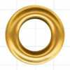 Dourado