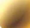 Dourado Dourado