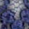 Violeta