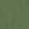 Verde Militar Claro