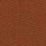 Mocha Orange Mocha Orange