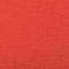 Vermelho Neon Vermelho Neon